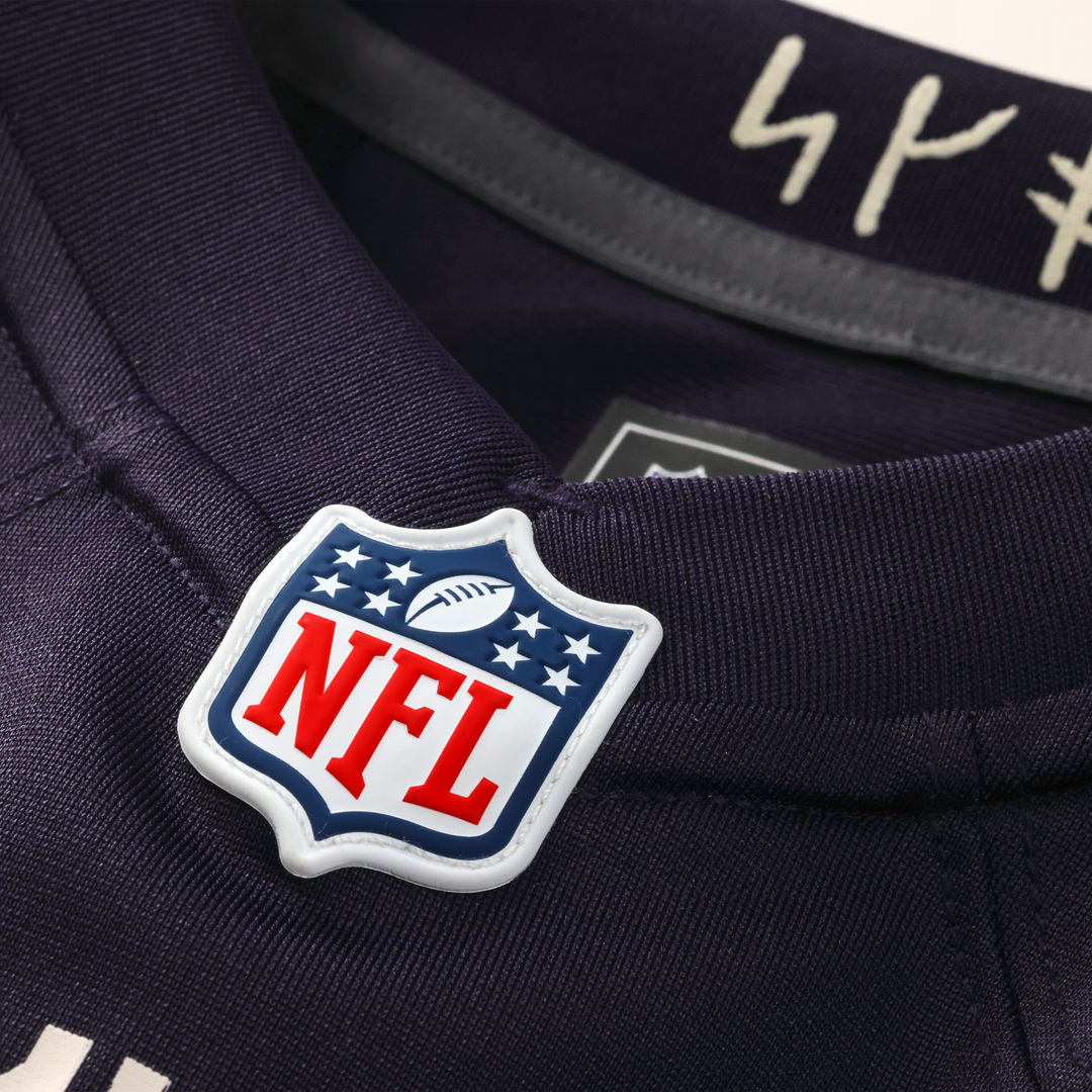 Andrew Van Ginkel Minnesota Vikings 2026 Rivalries Collection Jersey - Purple